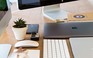 跟着总书记学习二十大报告丨咬定青山不放松